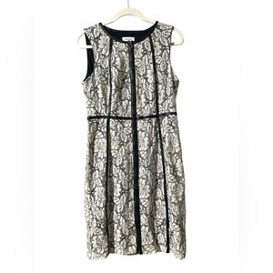 CALVIN KLEIN Women's White Floral Lace Zippered Sheath Dress 10